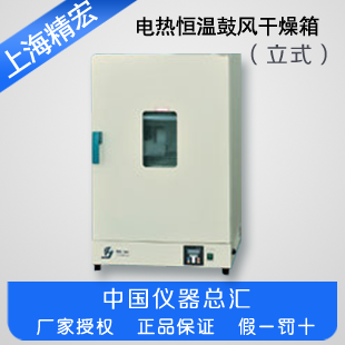 Shanghai Jinghong DHG-9070A9076A9140A9146A9240A electric constant temperature blast drying oven