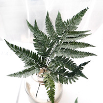  ins Nordic style fern leaf immortal flower dried flower leaf fern home decoration decoration DIY shooting props