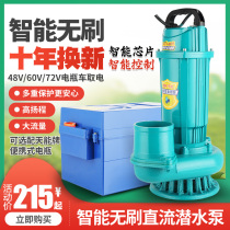 Small electric vehicle battery car brushless DC submersible pump large flow sewage pump 48v60v72v pump machine