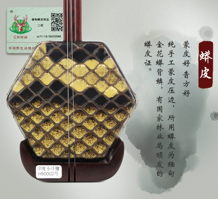 Practice 琴 坊 民族 người lớn thực hành chơi bán hàng trực tiếp tại nhà máy chuyên nghiệp - Nhạc cụ dân tộc ocarina