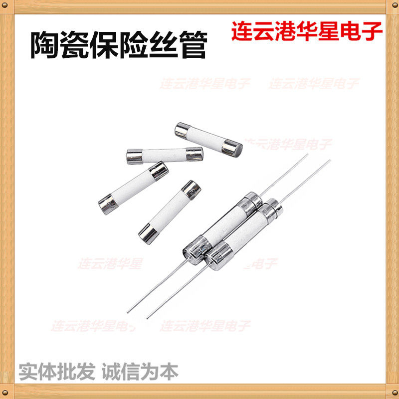 Ceramic fuse tube wire 0 5 1 2 F8 10A 12 12 5 16 T20A 250V 5*20 with pins