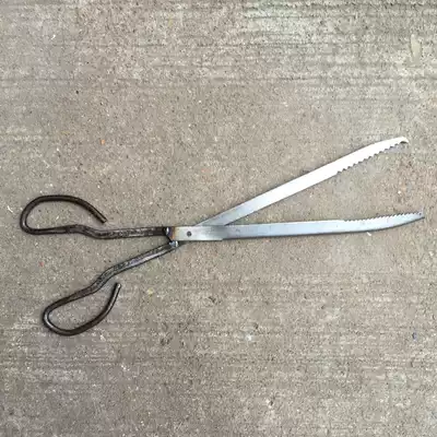 Y-JIAN eel pliers eel eel pliers Loach clip Loach pliers iron pliers special promotion