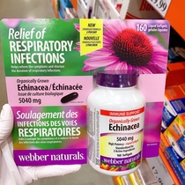 Webber Naturals Echinacea Echinacea Extract Capsules 160 Capsules