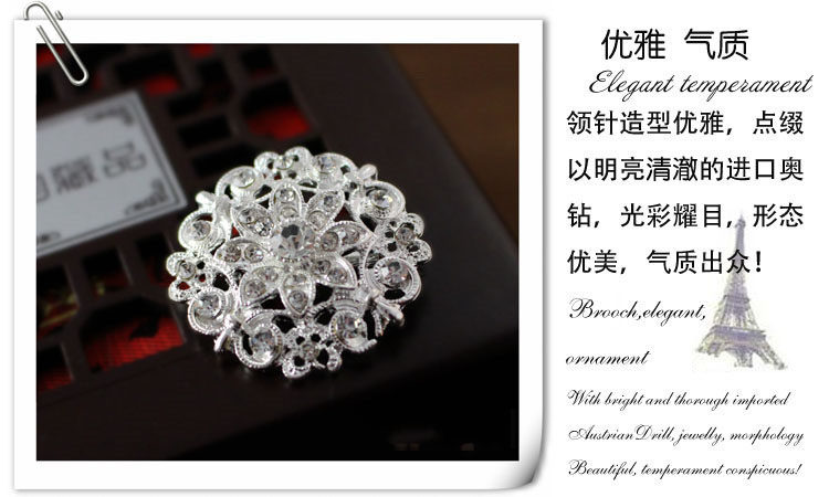 Broche femme en Zircon diamant - Ref 1177517 Image 9
