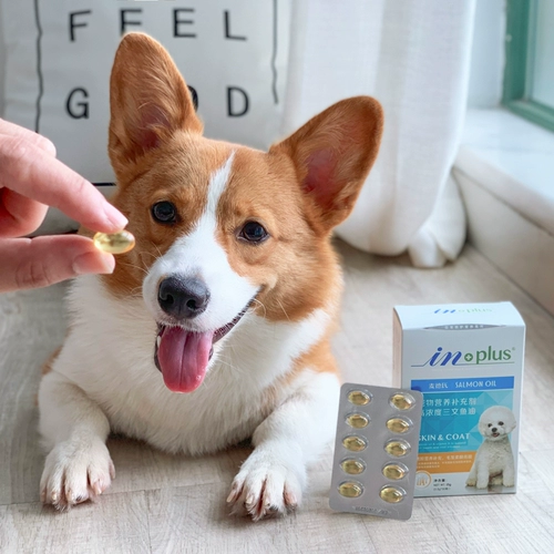 Медицинские капсулы с лососеем Medica Dog 30 зерна Kic -Border Mao West Highland Mei Liang Mao Biomaki защита кожи