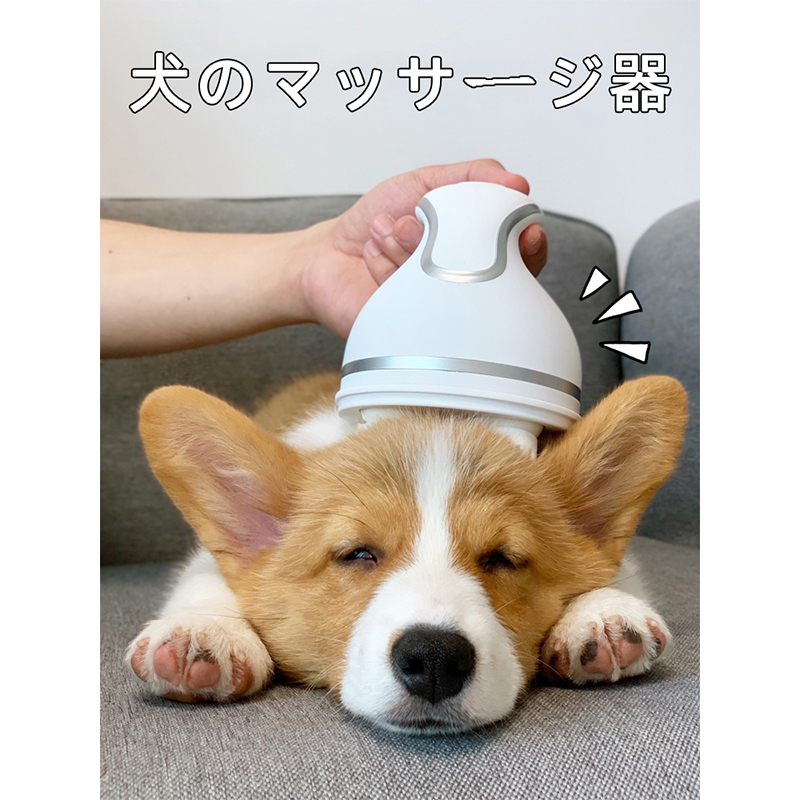 Tikying Same Teddy Dog Cat Electric Massage Automatic Head Massage Corki Pet Scratch