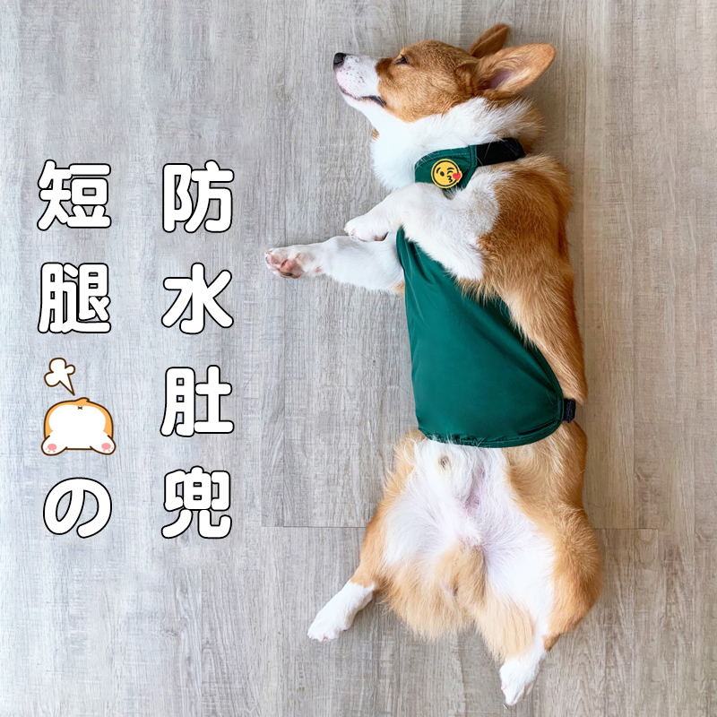 Dog belly cocky belly waterproof stomach and fault in summer clothes and dust prevention and cool puppy belly guard