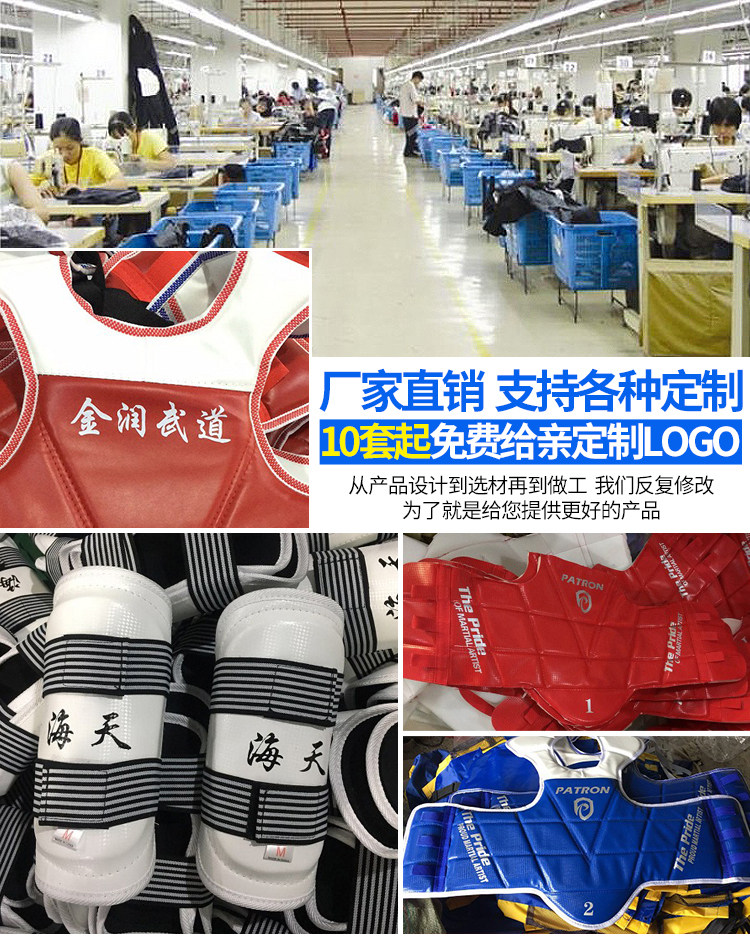 2019 Taekwondo Protector_01.jpg