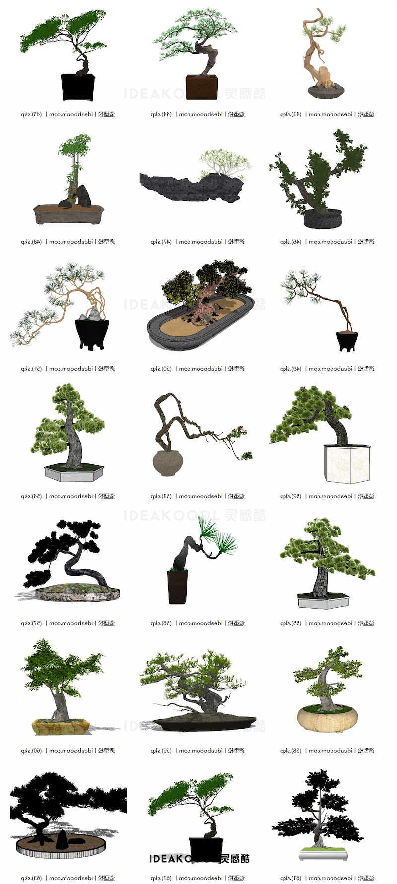 中式园林庭院花园景观造型松树迎客松植物SU模型合集丨