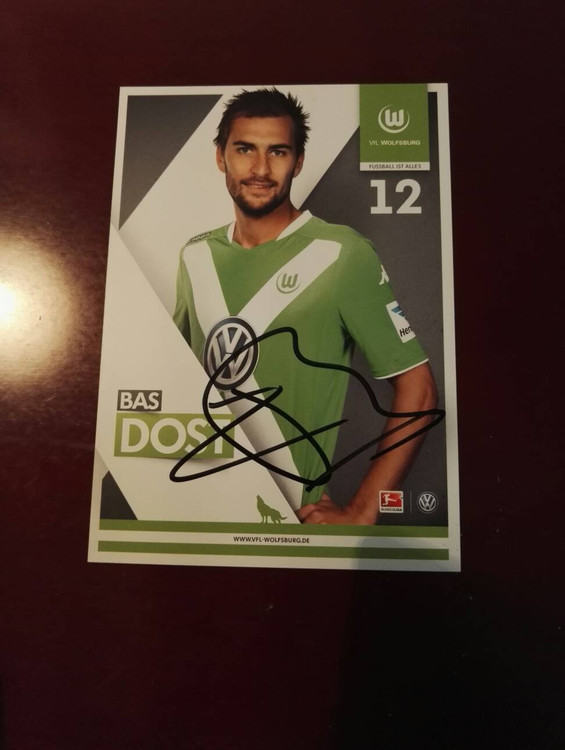Dorst Dutch Dutch Dutch Bundesliga gold boot Herenfen Wolfsburg's official pro-pen signing card