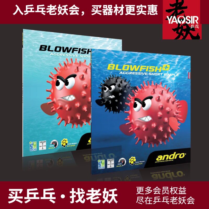 Bubble FISH ANDRO SHORE DEGREE BLOWFISH POISON BLOWFISH particles TABLE TENNIS glue set glue set glue set glue set glue set glue set glue set glue set glue set glue set glue set glue set glue set glue set glue set glue set glue set glue