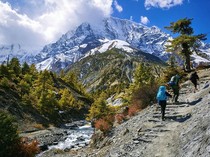 Nepal Alpine Hiking Backsport Guide