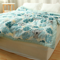 Air-conditioned summer thin quilt double machine washable spring and autumn quilt core Children single cotton water wash cotton summer quilt