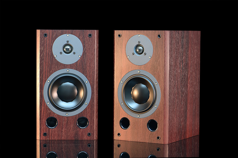 New Products Listed Muzishare Beauty Poetry T5A Fever Bookshelf Style Wiretap HIFI Speaker