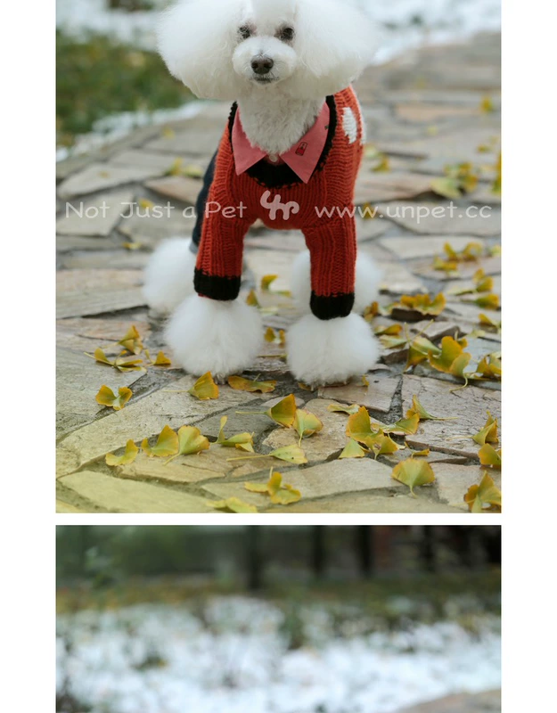 Unpet Breguet Quần áo cho thú cưng Little Princes Fox Sweater Tuyệt vời handmade dễ thương quần áo ấm cho chó - Quần áo & phụ kiện thú cưng