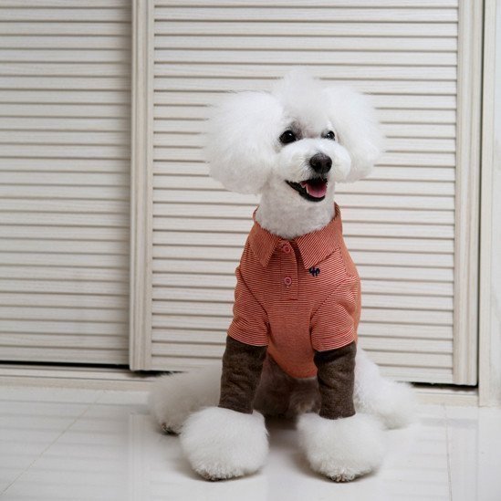 Popularity Pet Parenting with Unpet Dependents Teddy Clothing Stripe Fake two POLO Shirt Long sleeves Day 100 lap-Taobao