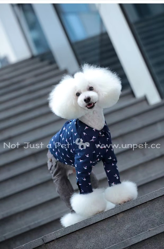 Breguet Pet Quần áo Teddy Schnauzer Wild Nhật Bản dài tay Bird Cotton Royal Blue Áo - Quần áo & phụ kiện thú cưng