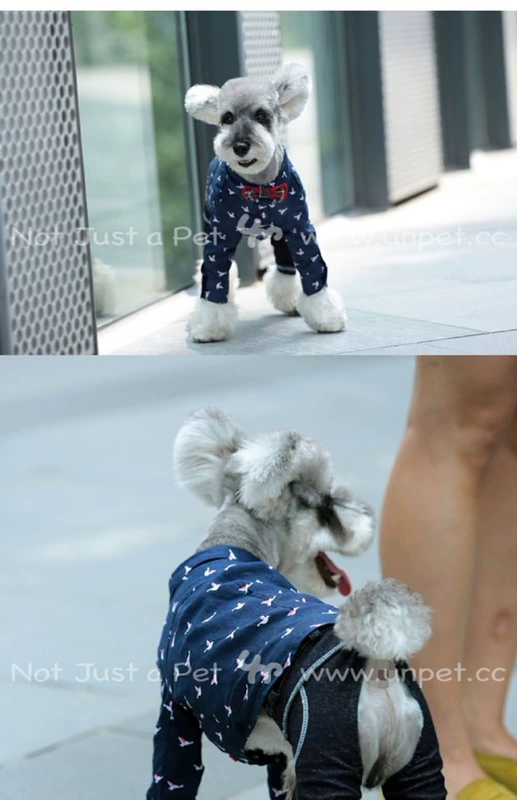 Breguet Pet Quần áo Teddy Schnauzer Wild Nhật Bản dài tay Bird Cotton Royal Blue Áo - Quần áo & phụ kiện thú cưng