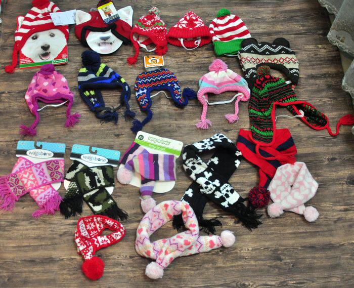 European single strong goods all kinds of pet hats and scarves dog cat small decoration small hat first play