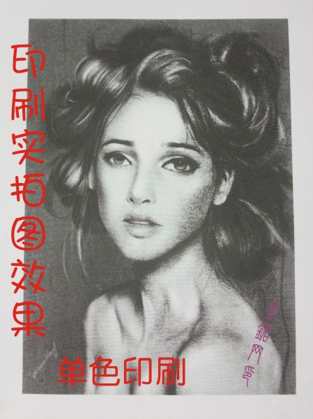 Screen printing Screen plate custom production Dot printing effect Gradient three-dimensional printing