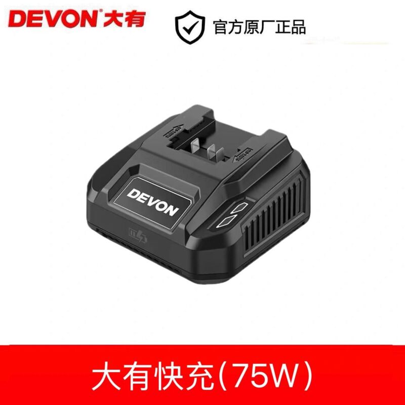 Dayou 20V Original Charger 75W Fast Charging 5388