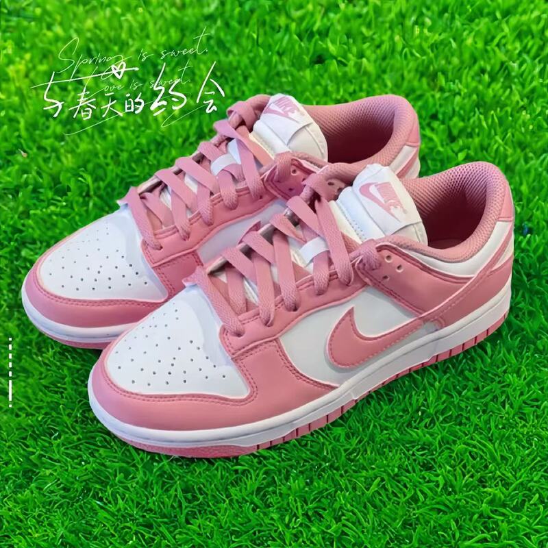 Nike Dunk Low Women's Pink Low-Top Sports and Casual Sneakers Dd1873-112