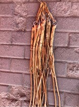 Stock old cavalry cowhip whip cowhip cowhip full short whip cowhip (cowhide nitrate)