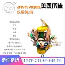 American Java JAVA WOOD Fun Sponge Fun Spongy Parrot Toy CG Parrot Studio