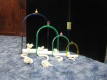 Poles POLLYS parrot Arch-shaped claw stick swing color random Arch swings CG