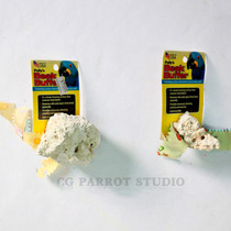 Pollsee POLLYS Grinding Mouth Coral Stones CG Parrot Studio