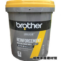 Yellow Wall Cementing Interfacial Agents Interior Walls Domestic Wall Reinforcing Agents Cement Grassroots Up Ash Depowder Penetration Wall Confinement 15KG