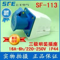  Promotion Shangfeng industrial socket SF-113 three-pole surface-mounted socket 16A 220V three-core socket IP44