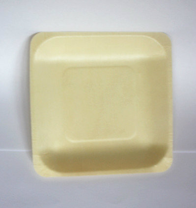 Disposable wooden plate cake dessert cake biscuit dish custom logo delivery outdoor picnic degradable