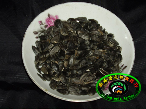 Birds special sunflower seeds 250g oil oil sunflower large parrot bird food medium parrot feed wax beak bird food