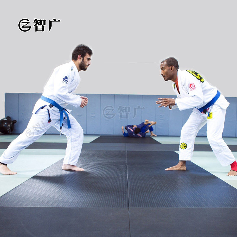 Zhiguang Tuan hit the floor mat Taekwondo fighting Sanda Jujitsu shock-absorbing Sports roll pad wrestling training gymnastics fitness pad