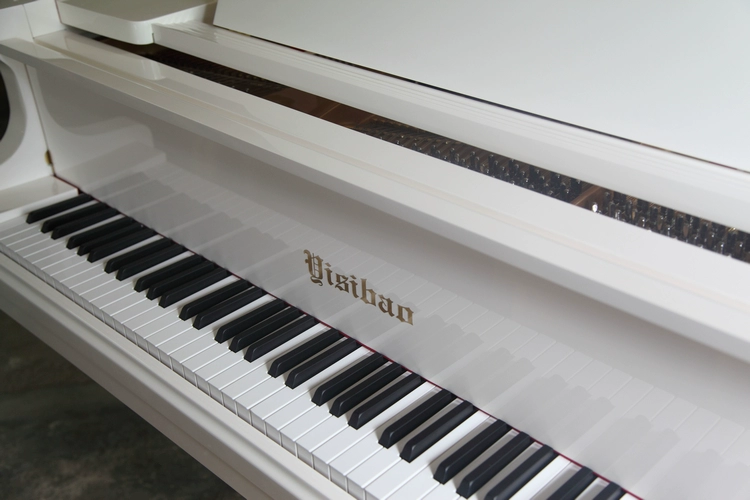 Phong cách thanh lịch 231 grand piano ngang piano! Nhà máy sản xuất đàn piano mười năm tuổi là đáng tin cậy piano dien