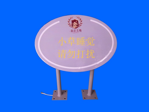 Lawn Brand 2G 3G 4G 2 4G WIFI Spotlight Street Light Cluster Community Base Station Covering Indoor and Outdoor Antenna