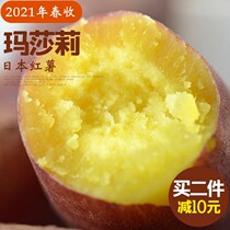 New Varieties Autumn Japan Massali G End Gold Ice Potato Taste Soft Glutinous No Silk Extremely Sweet Far Over Bridgehead Ground Melon 5 Cati