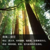 Деревянная мозаика из сандалового дерева из натурального дерева для спальни, дракон и феникс