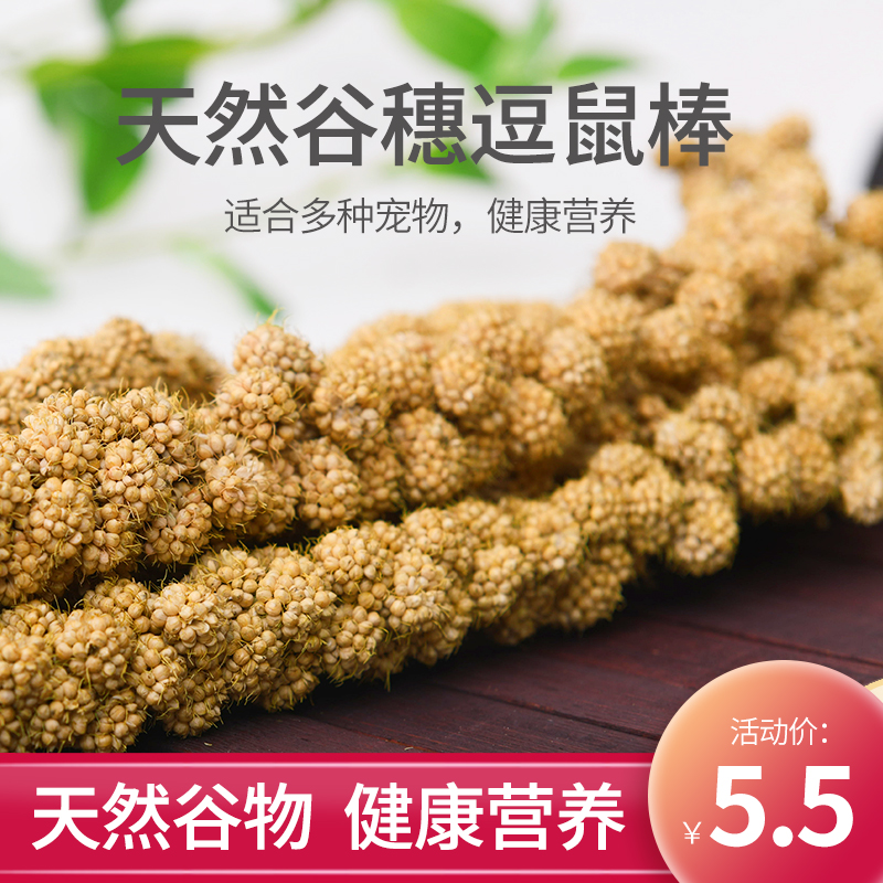 Squirrel grain natural grain ear parrot snack yellow grain ear hamster grain millet ear grain staple food package Lun mouse complete