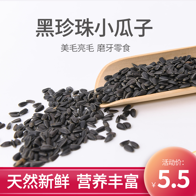 Squirrel flying squirrel hamster golden bear parrot supplies food food staple food snack small oil sunflower black beauty melon seeds