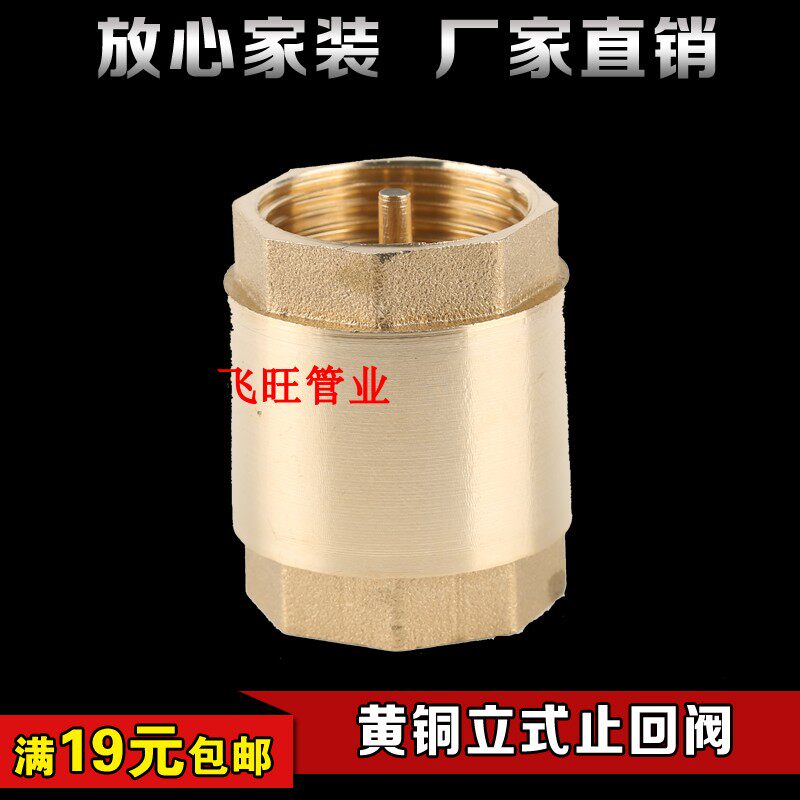 4 minutes 6 minutes 1 inch brass check valve water pipe water meter DN15 20 25 check valve vertical check valve water pump valve