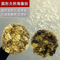 Round Natural Seaweed Pat Tricolour Pearlescent Art Lacquer Gold Leaf Silver Leaf Brushed Tool Greek Seaweed Cotton Pat