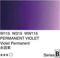 Прозрачный B-класс W315