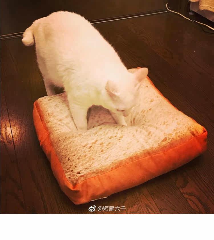 Peluche manga jardin Cat - Ref 2697763 Image 6