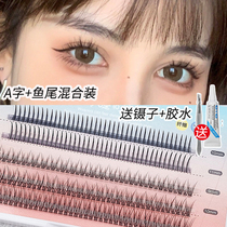 A- type fishtail Yu Shuxin fairy hair mixed hair false eyelashes female grafting natural single cluster glue simulation