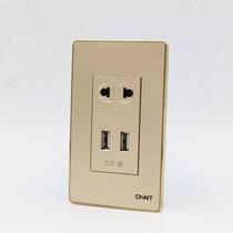 Chint 9E champagne gold 120 type two-hole dual USB socket power socket two-plug with USB wall socket panel