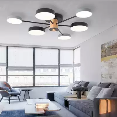 Small living room ceiling lamp Nordic simple modern lamps creative personality LED study bedroom children's room lamp