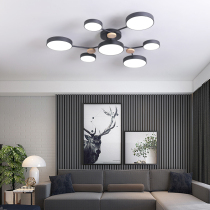 Living room ceiling lamp Modern simple atmosphere Macaron Nordic black and white Gray style Bedroom hall lighting