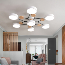 Nordic post-modern living room ceiling lamp Simple creative personality chandelier Study bedroom Macaron lighting